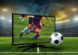 字母哥确定留队